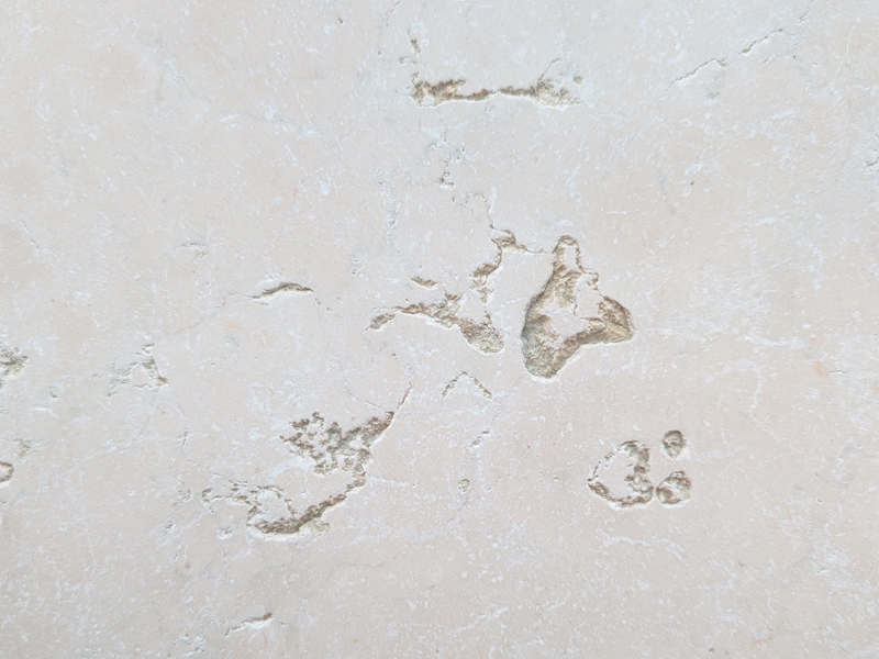 antikmarmor nahaufnahme